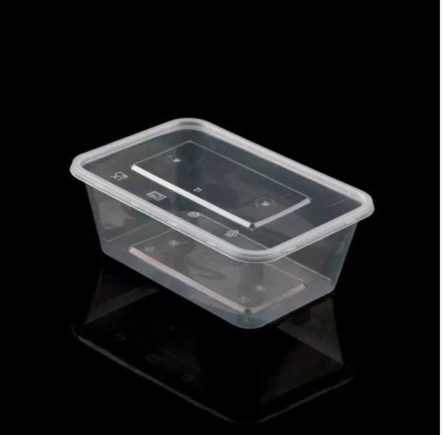 (250 Pc Carton) 500 ML Disposable Food Storage Containers - Transparent Takeaway Containers